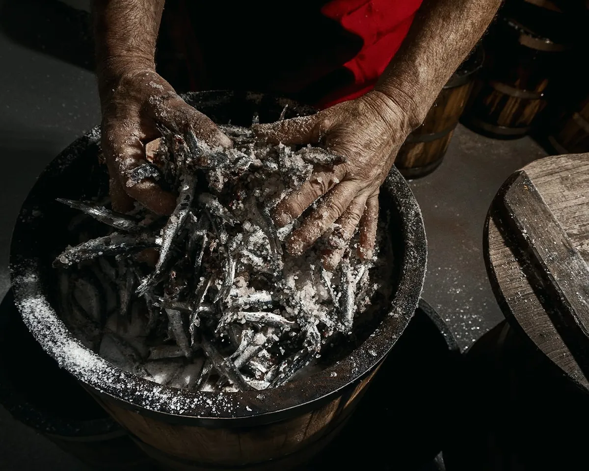 엔초비 염장 과정